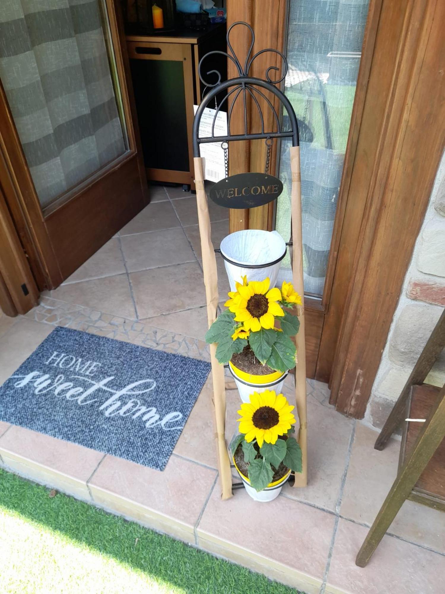 La Taverna Da Irene Roe Bagian luar foto